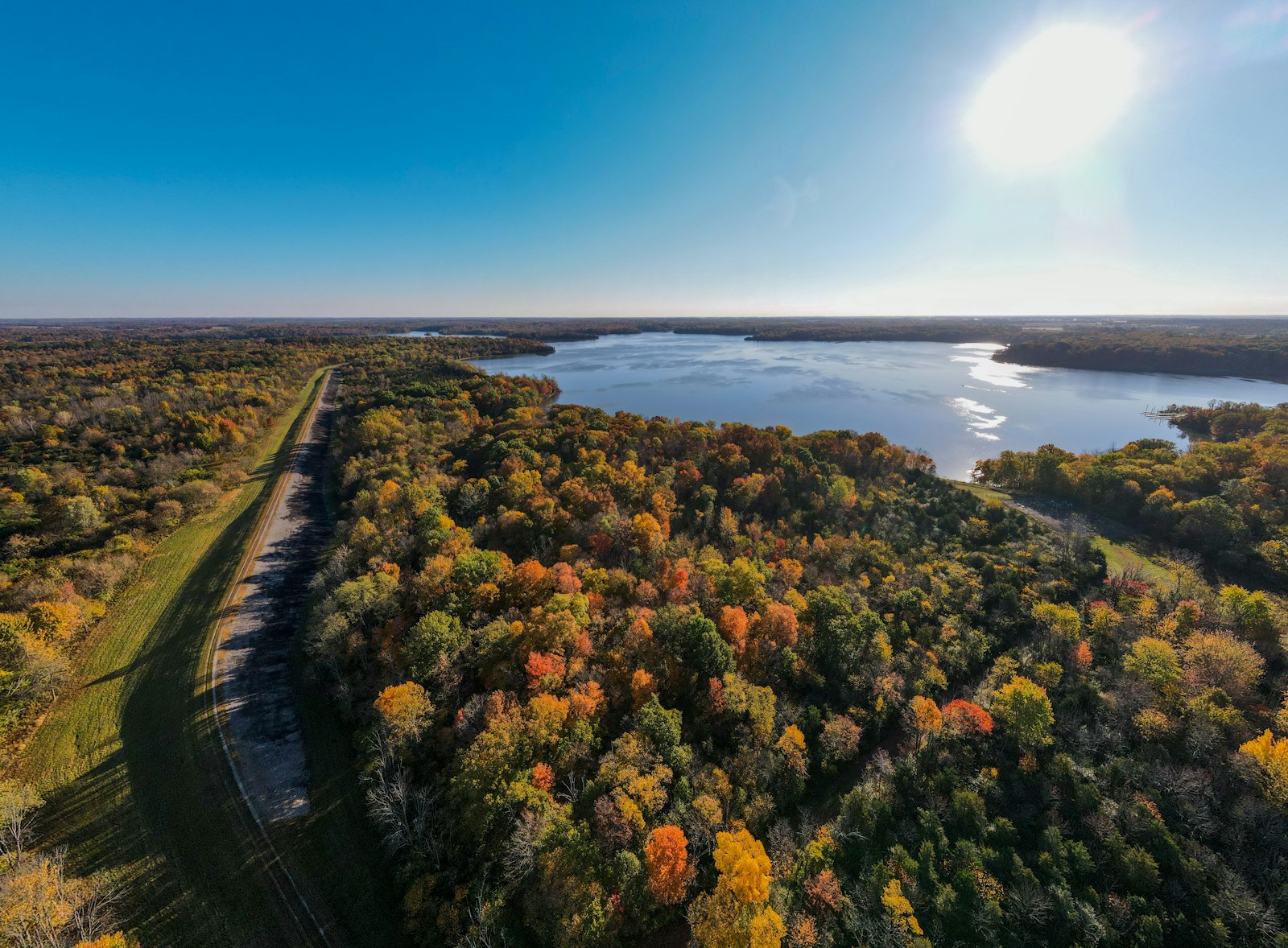 green and yellow trees near body of water during daytime